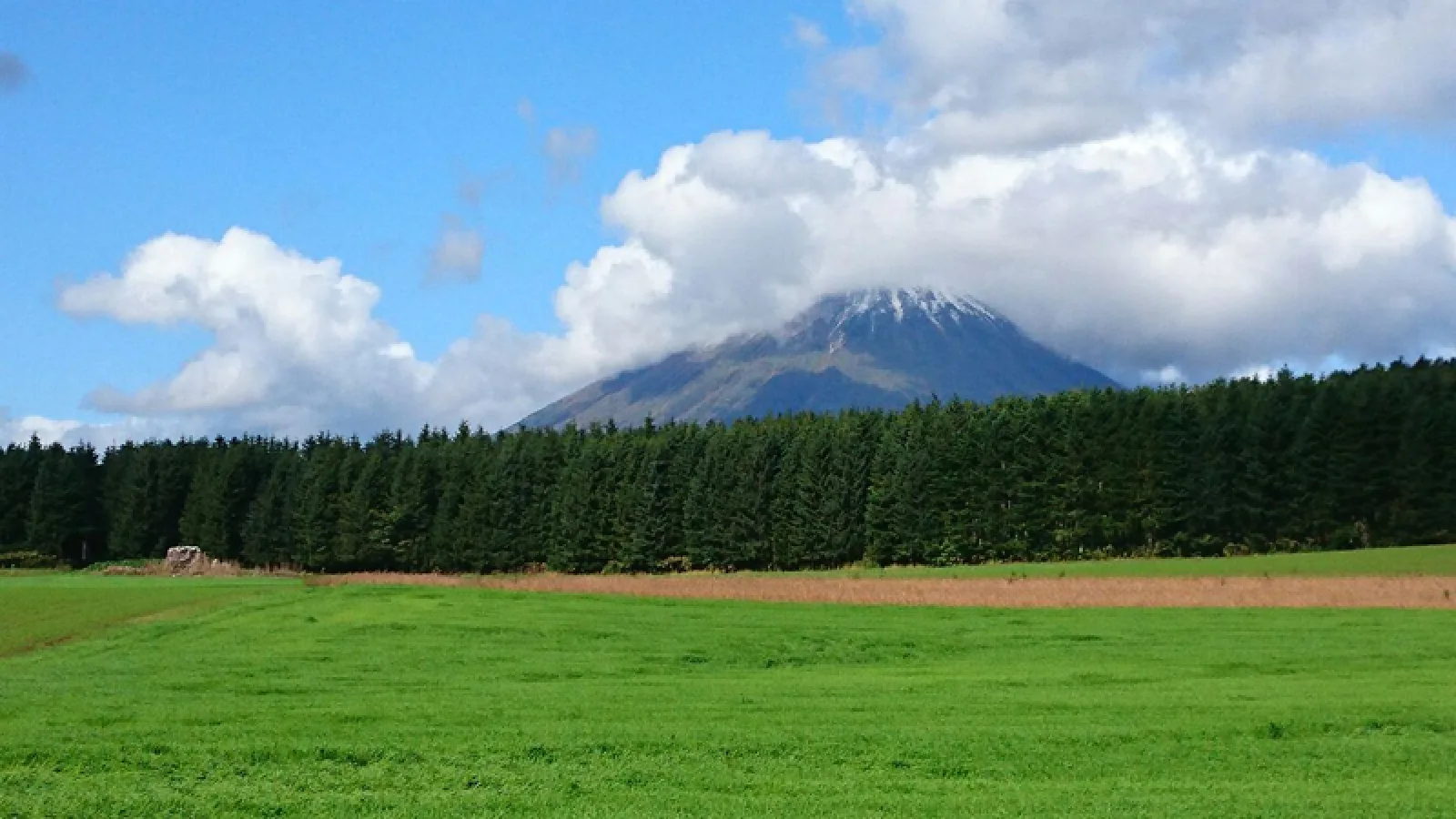 昆布だしと北海道の食卓